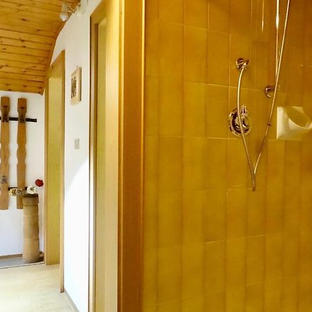 Ciasa Preroman Mansarde Διαμέρισμα San Martino in Badia Εξωτερικό φωτογραφία